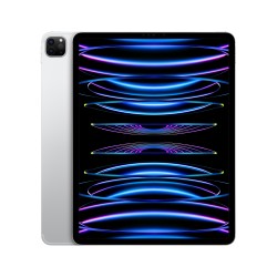 iPad Pro 12.9 2TB WiFi Cellular Prata