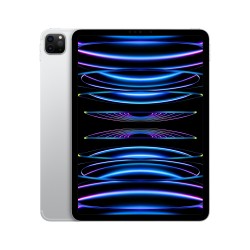 iPad Pro 11 1TB WiFi Cellular Prata