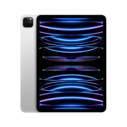 iPad Pro 11 2TB WiFi...
