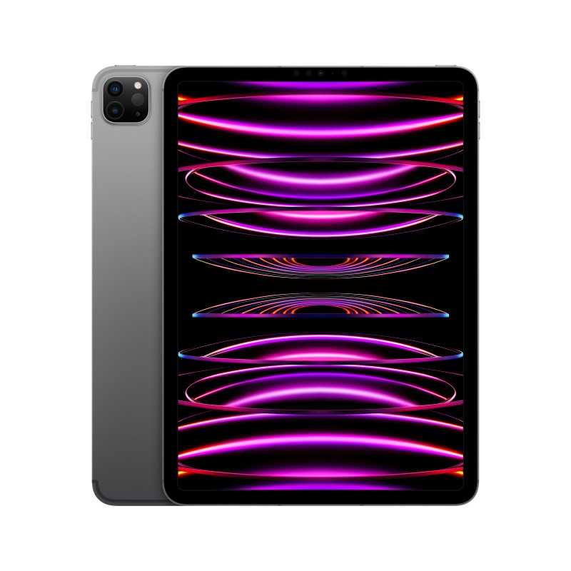 iPad Pro 11 256GB WiFi Cellular Cinza