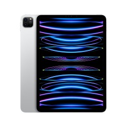 iPad Pro 11 2TB WiFi Prata