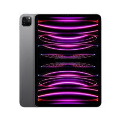 iPad Pro 11 2TB WiFi Cinza