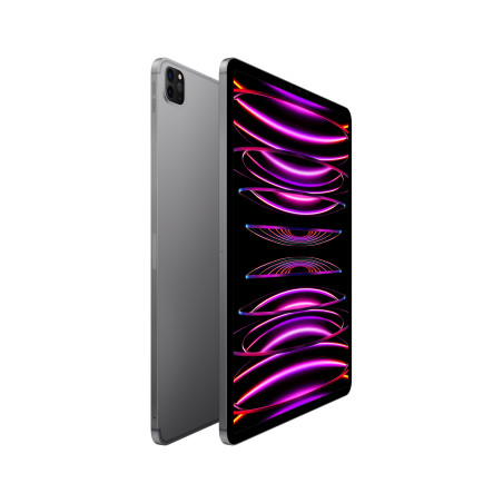 🛒 Compre iPad Pro 12.9 512GB WiFi Cellular Cinza 