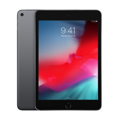 🛒 Compre iPad Mini Wi-Fi 256 GB Cinzento 