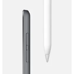 🛒 Compre iPad mini Wi-Fi 256GB 5 Gen Cinzento Renovado 2