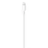 Compre Cabo USBC 2m Branco de Apple Barato|i❤ShopDutyFree.pt